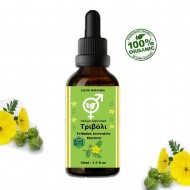 ΤΡΙΒΟΛΙ ΒΑΜΜΑ (TRIBULUS TERRESTRIS) 50ml – 100% οργανικό